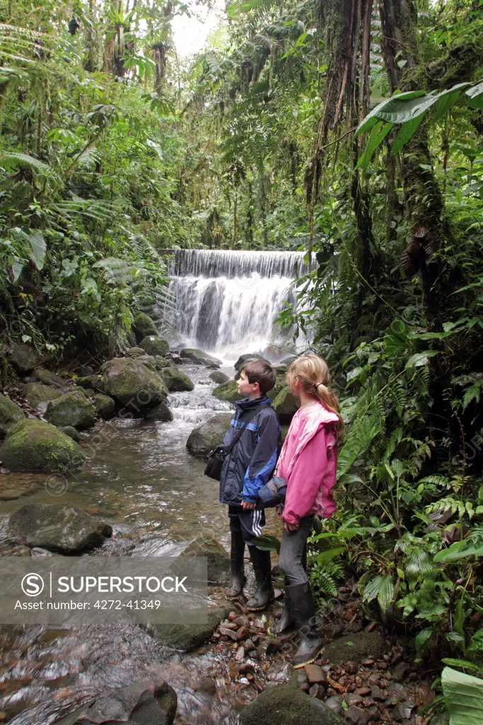 Children exploring a stream in cloudforest at Sacahatmia, Ecuador