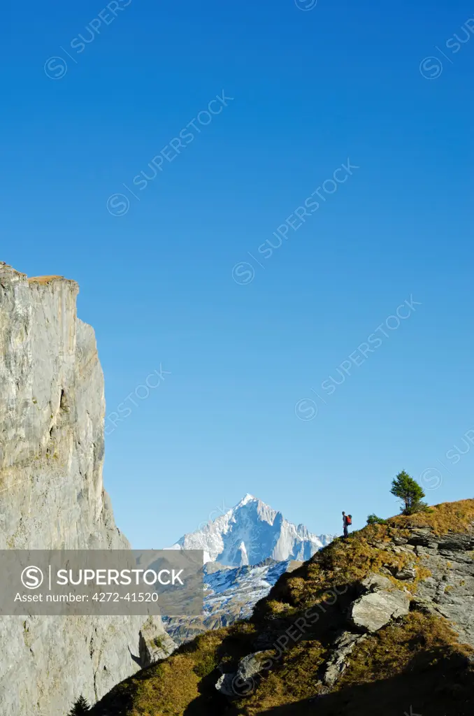 Europe, France, French Alps, Haute Savoie, Chamonix, hiker with Aiguille Verte in the background MR