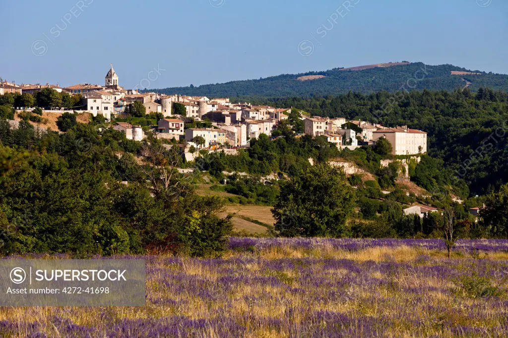 View of lavender and Sault, Vaucluse, Provence, France