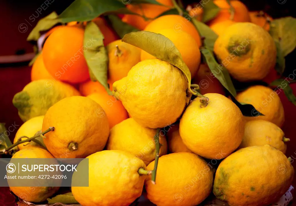 Taormina, Sicily, Italy, Sicilian lemons and oranges