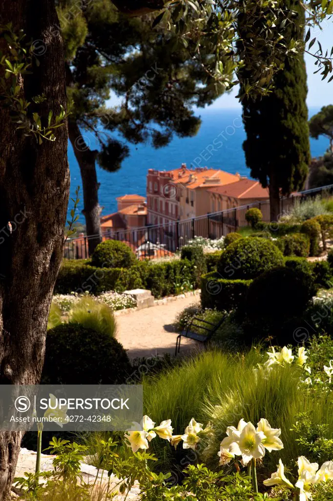Gardens of New National Museum Villa Paloma, Principality of Monaco, Europe