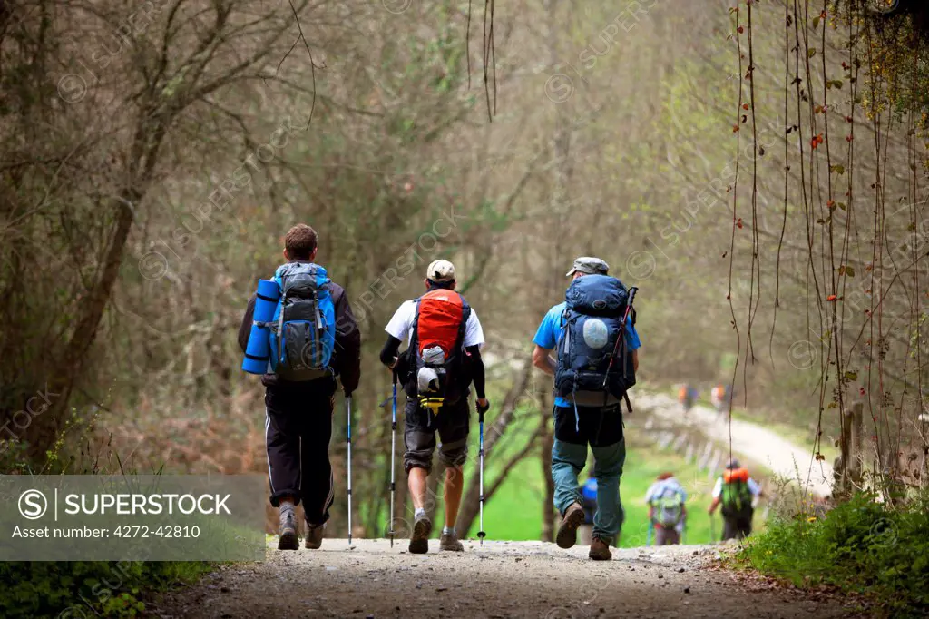 Spain, Galicia, Camino Frances, Three young man walking along the Camino trail