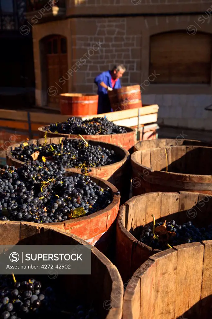 Bodega Lopez de Heria wine cellar in the village of Haro, La Rioja, Spain, Europe