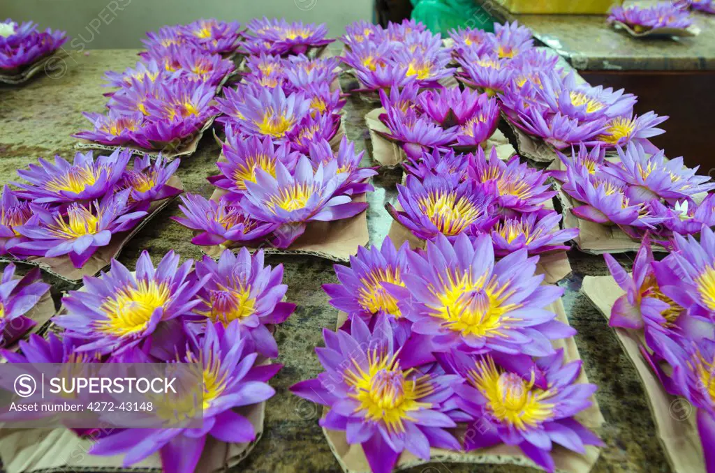 Sri Lanka, Sacred city of Kandy, UNESCO World Heritage Site, flower for offering at Temple of the Tooth
