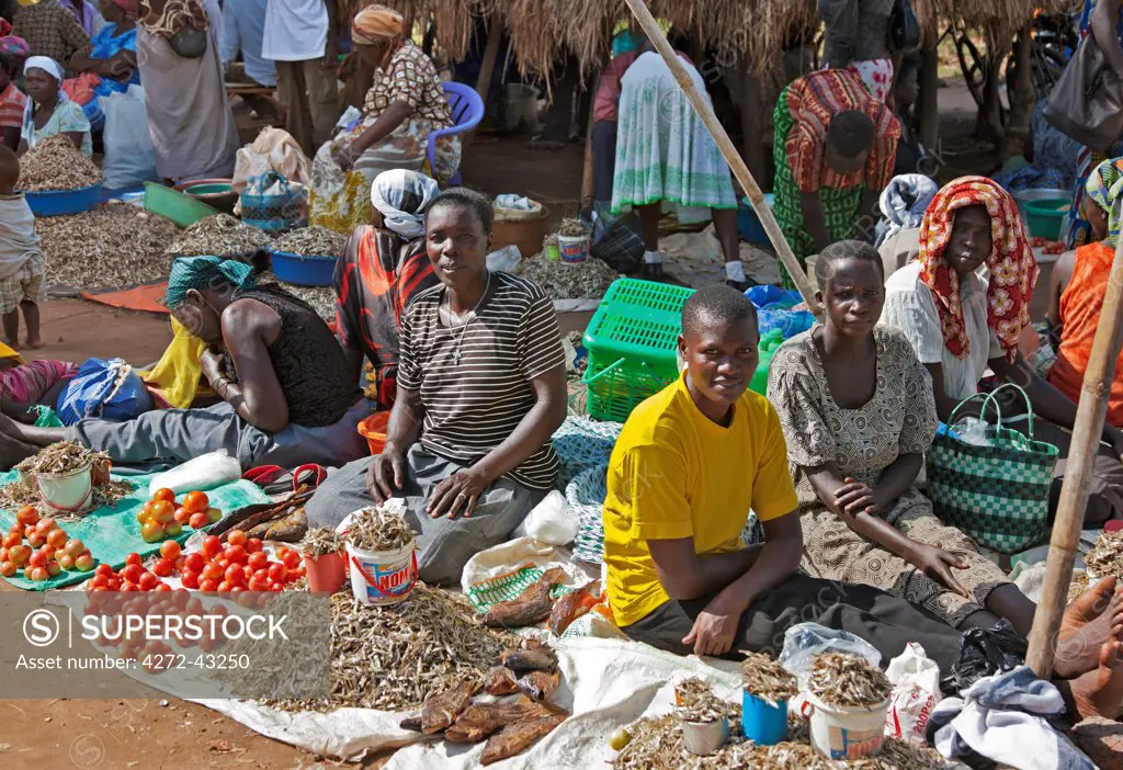 Women selling dried fish and tomatoes at a busy roadside market near Puranga, Uganda, Africa