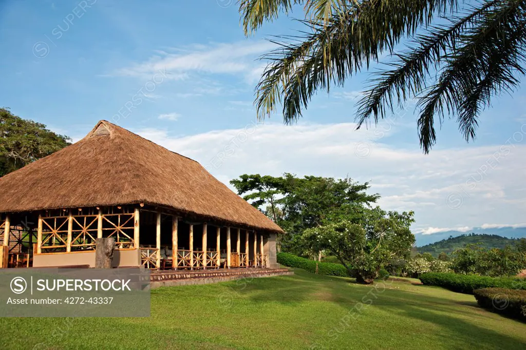 The dining room and bar of Chimpanzee Forest Guesthouse, with distant views of the Rwenzori Mountains, Uganda, Africa