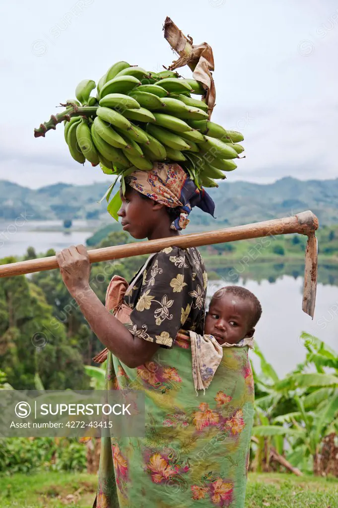 A Ugandan woman returns from her farm with bananas balanced on her head, her child slung comfortably on her back, Uganda, Africa