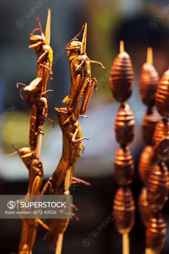 Deep fried snacks comprising cicadas and grasshoppers for sale in Snack Street, Wangfujing, Beijing, CHina