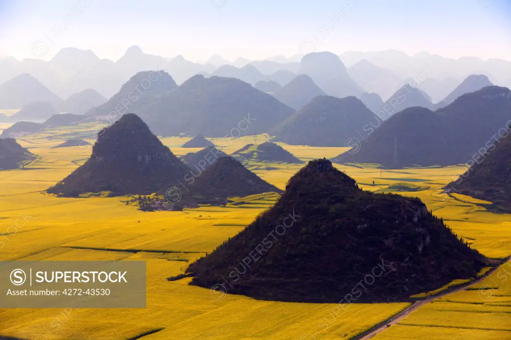 China, Yunnan, Luoping. Mustard fields in bloom amongst the karst outcrops at Luoping.