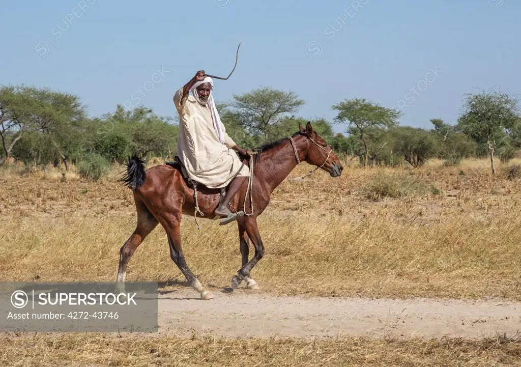 Chad, Kanem, Bahr el Ghazal, Sahel. An old Kanembu man riding home on his horse near the Bahr el Ghazal.