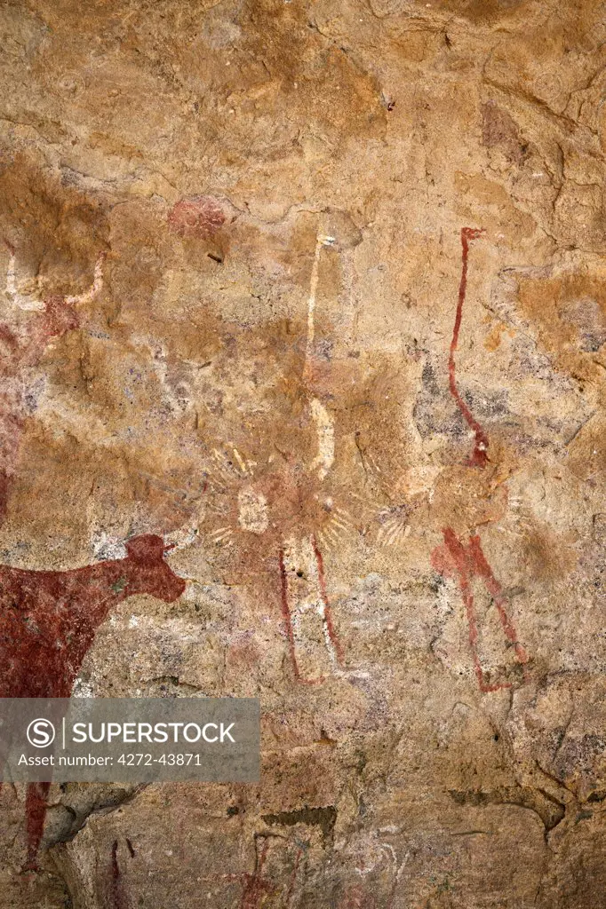 Chad, Deli, Ennedi, Sahara. A bichrome rock art panel on sandstone of cattle and two ostriches.