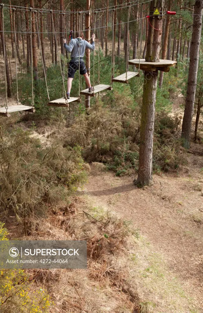 UK, Hampshire. A man carefully pics his way across a row of wobbling planks on a 'Go Ape' course.