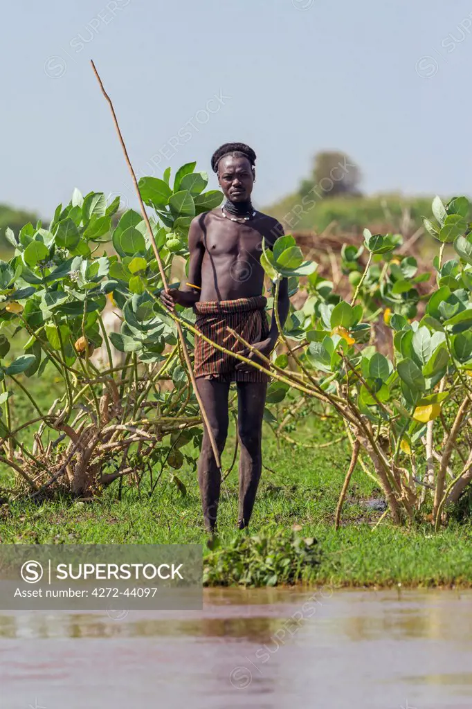A Dassanech warrior on the banks of the Omo River with a spear for catching fish, Ethiopia