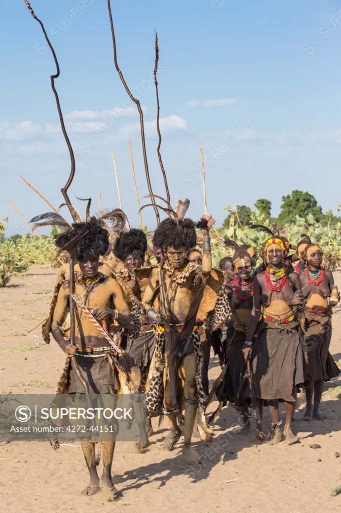 Dassanech men and their wives dressed in ceremonial Dimi regalia participate in a dance, Ethiopia