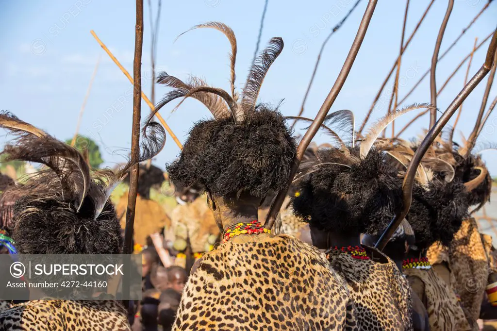 Dassanech men dressed in ceremonial regalia with long sticks participate in a Dimi dance, Ethiopia