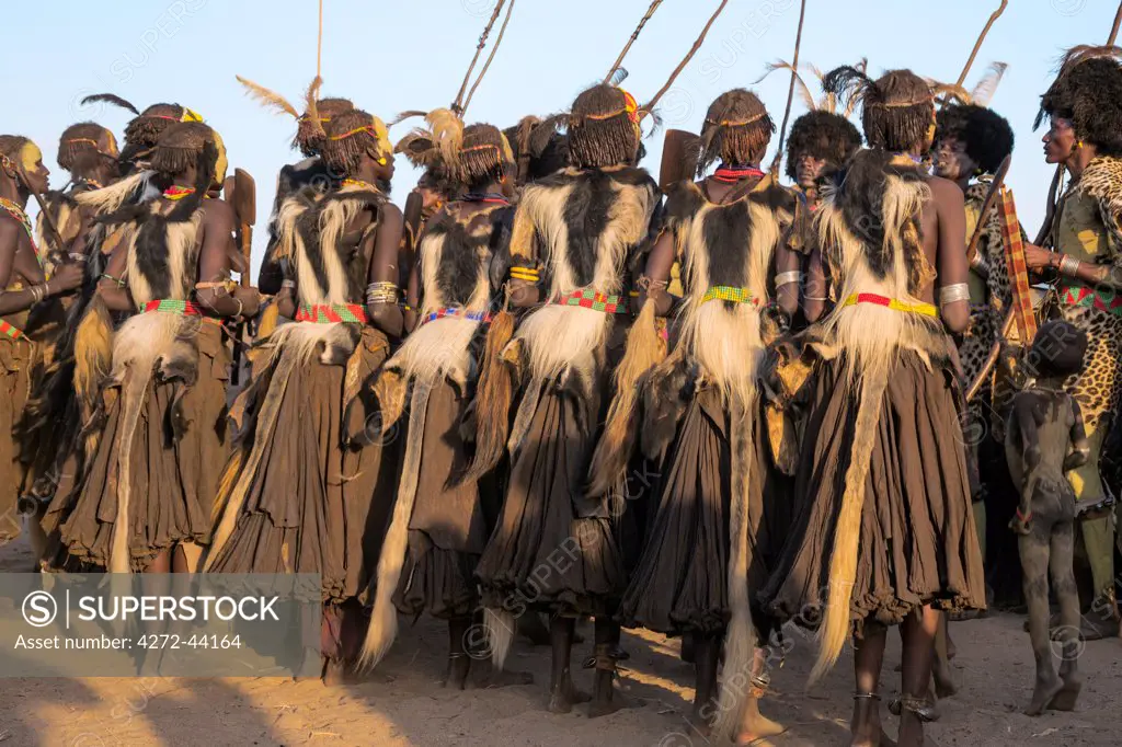 Dassanech men and their wives dressed in ceremonial regalia participate in a Dimi dance, Ethiopia
