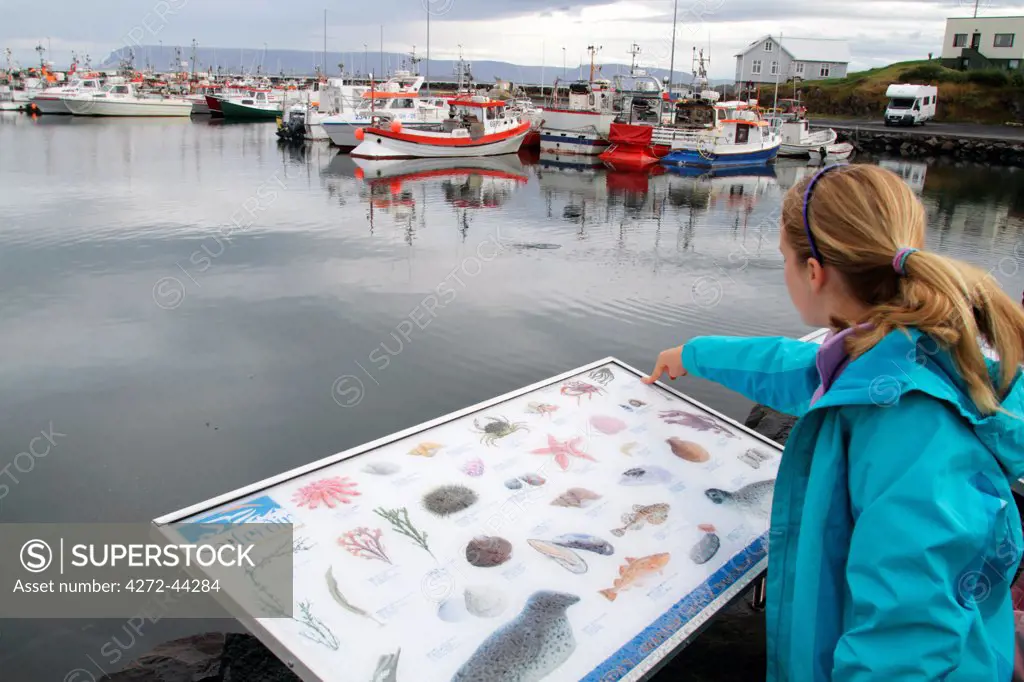 Girl pointing out marine life on an interpretation board beside the harbour at Stykkish lmur, Snaefellsness Peninsular, Iceland. MR