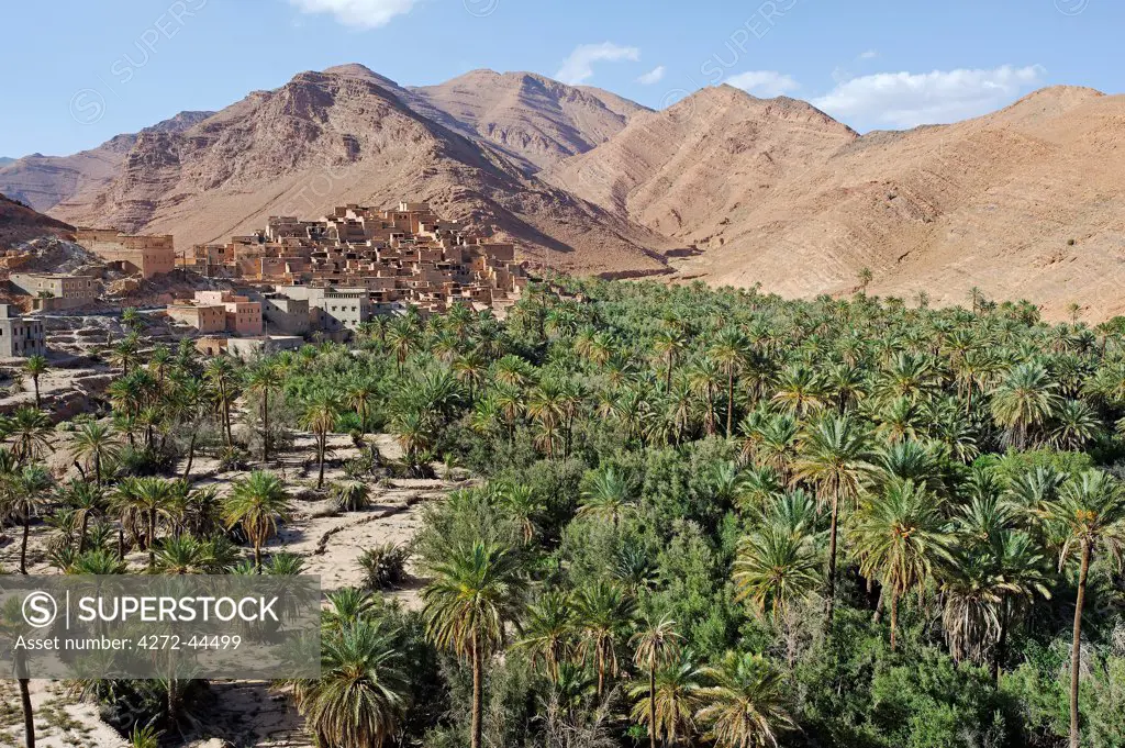 Morocco, Anti Atlas Mountains, Ait Mansour Gorge, Gdourt. The ancient Berber village of Gdourt nestles amidst the long palm filled gorge of Ait Mansour.