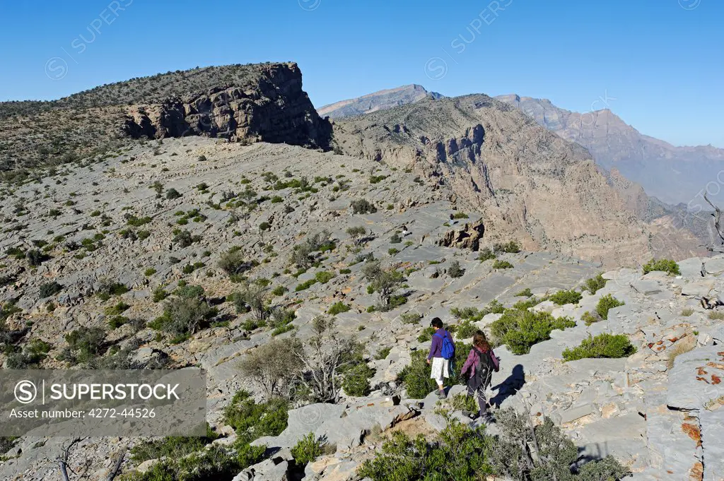 Oman, Dakhiliyah Governate, Jebel Hajar. Walkers follow the faint yet way marked trail through the Hajar Mountains from Sharaf al Alamayn towards the village of Misfat al Abriyyin.