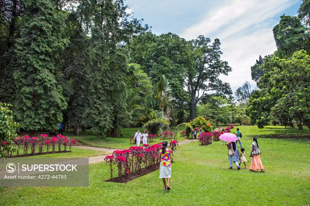 The magnificent Royal Botanical Gardens at Kandy were formally established in 1843 at Peradeniya, some three miles west of Kandy. However, the origins of Botanic Gardens on this site date as far back as 1371, Sri Lanka