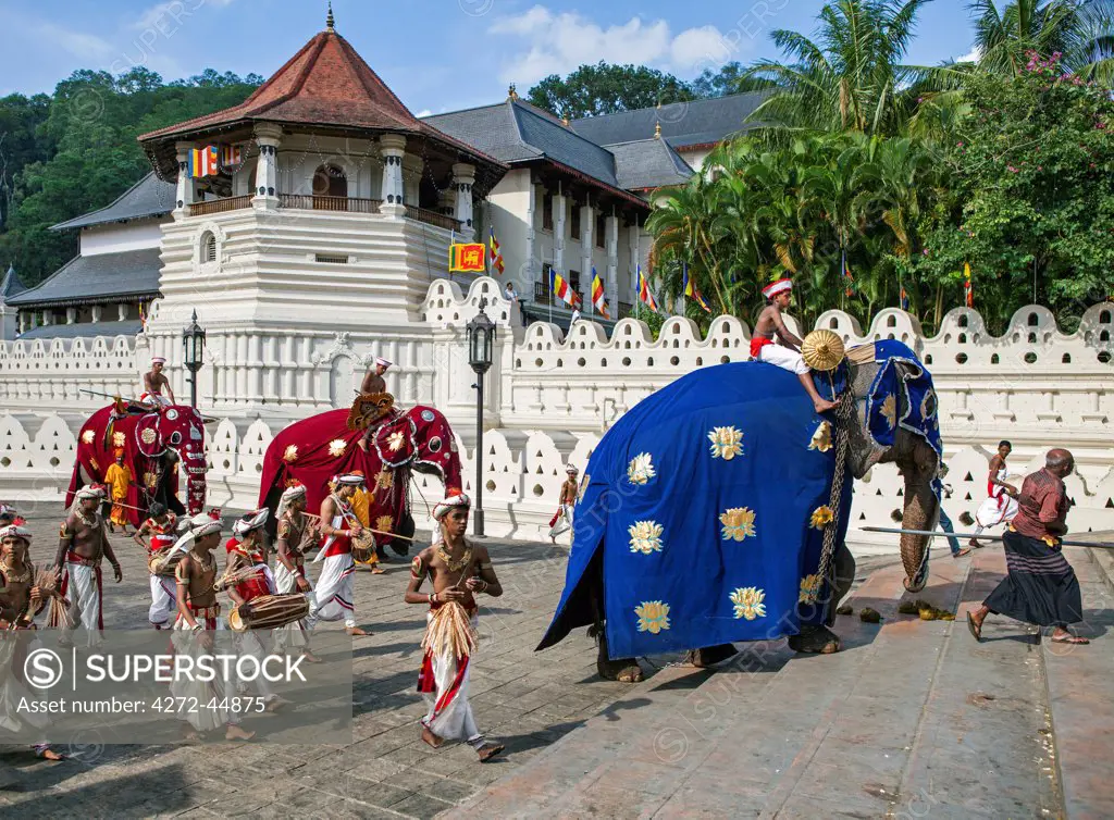 Caparisoned elephants and their riders accompanied by Kandyan dancers and drummers stride past the Temple of the Sacred Tooth Relic at the conclusion of the Kandy Day Perahera, Sri Lanka