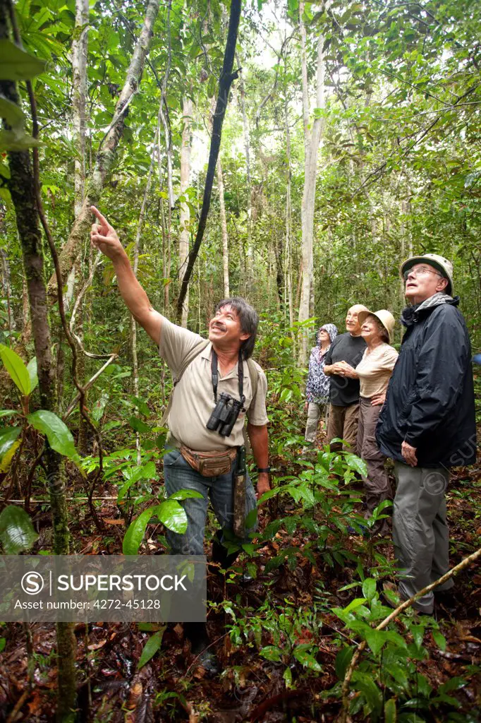 South America, Brazil, Amazonas, tourists spotting wildlife in the rainforest with a guide from the Tucano river boat