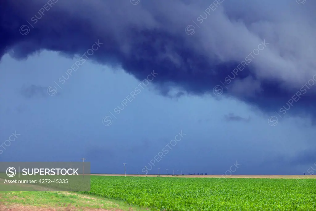 South America, Brazil, Mato Grosso, threatening storm clouds over soya plantations in the Mato Grosso Amazon