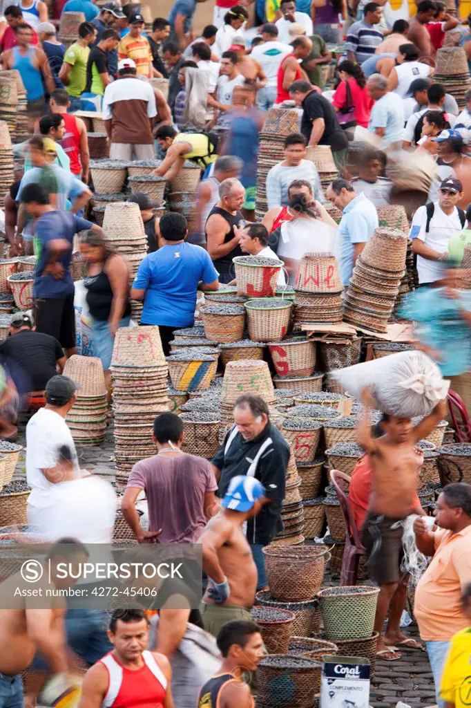 South America, Brazil, Para, Amazon, the morning acai market outside in Belem, which takes place outside the Ver o Peso market, on the waterfront of Guajara Bay