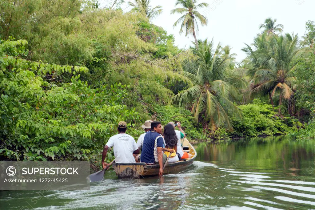 South America, Brazil, Para, Amazon, Marajo island, tourists in wooden canoes visiting red mangrove forest near Soure