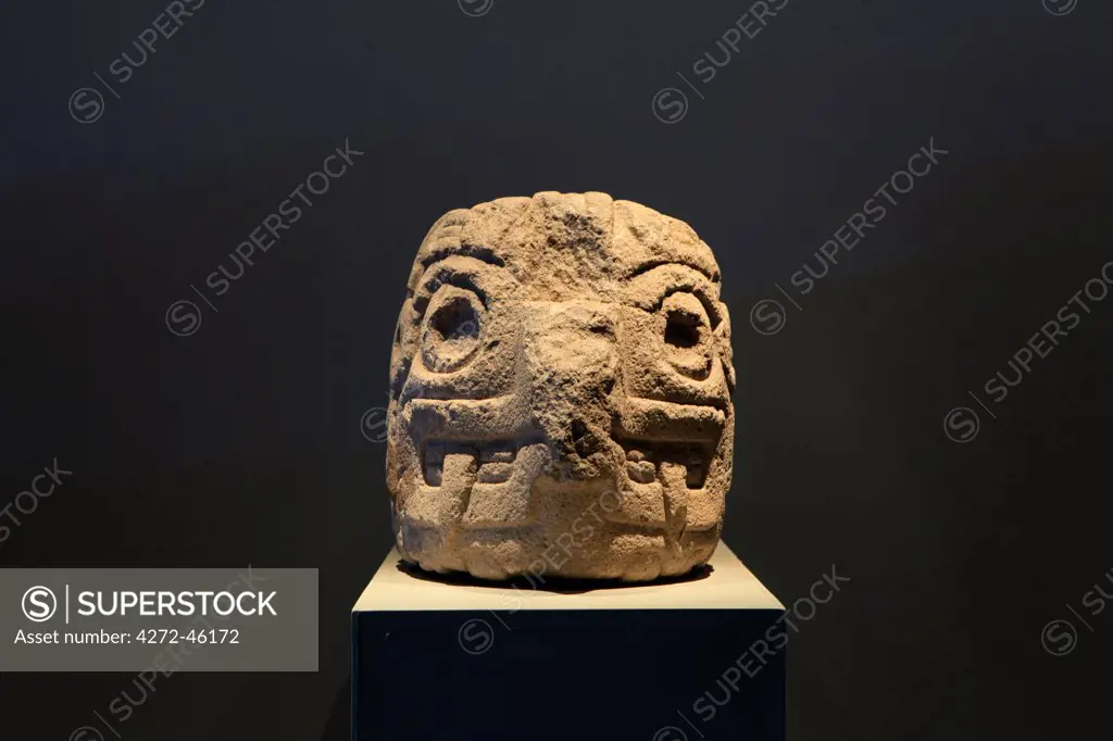 South America, Peru, Ancash, Chavin de Huantar. A Chavin head on display in the Chavin National Museum