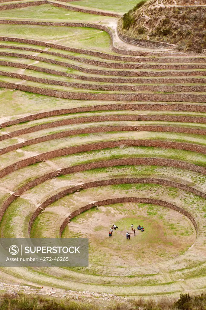 South America, Peru, Cusco, Sacred Valley, Maras. General view of Moray   verdant pre Hispanic terraces made by the Incas and probably used for agricultural experiments