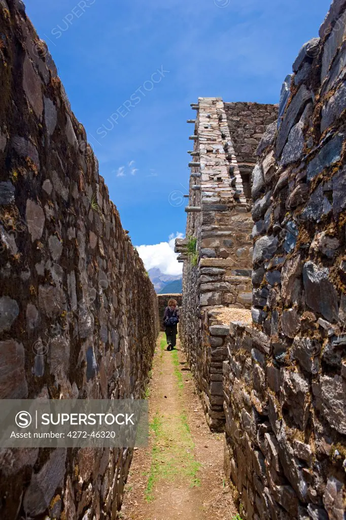 South America, Peru, Cusco, Nusta Hispana. Terraces, a hiker walks along a wall between wasi houses at Choquequirao, built by Tupac Inca Yupanqui and Huayna Capac and situated above the Apurimac valley in the mountains of the Salkantay range