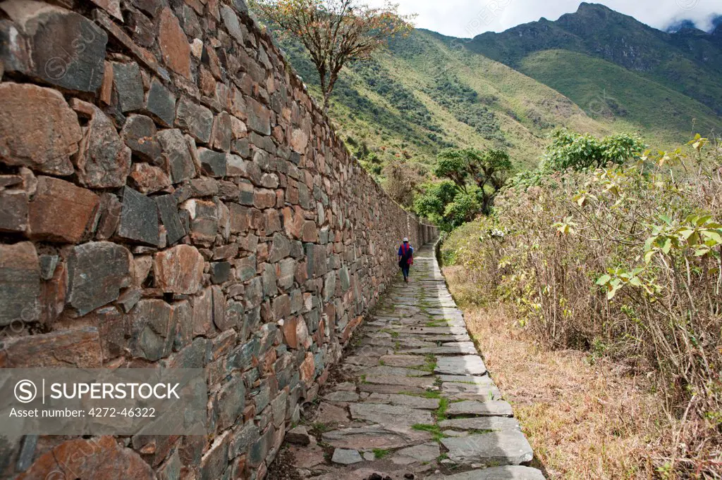 South America, Peru, Cusco, Nusta Hispana. Terraces, a hiker walks next to a long Inca wall and causeway at Choquequirao, built by Tupac Inca Yupanqui and Huayna Capac and situated above the Apurimac valley in the mountains of the Salkantay range