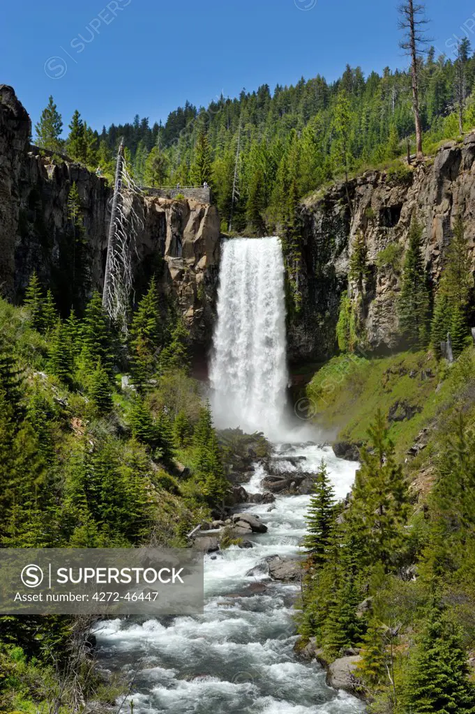 Tumalo Falls of Tumalo Creek, Deschutes County, near city of Bend, Central Oregon, USA