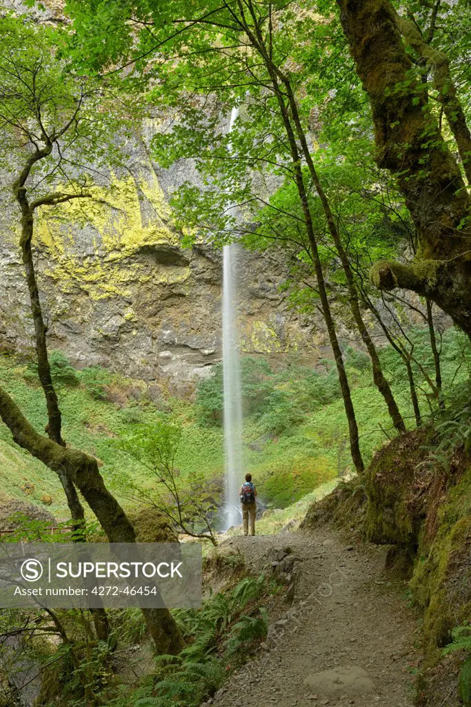Hiker at Elowah Falls, Columbia River Gorge National Scenic Area, Multnomah County, Oregon, USA  MR