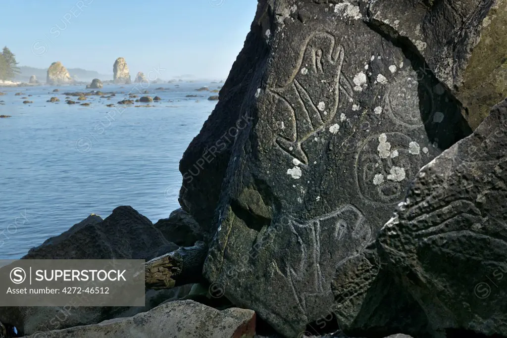 Indian Carvings on Rocks at Cape Alava, Olympic National Park, Clallam County, Washington, USA