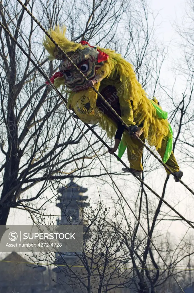 China, Beijing. Beiputuo temple and film studio. Chinese New Year Spring Festival - a lion dance performer climb up a high wire tight rope.