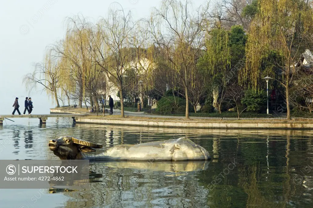 China, Zhejiang Province, Hangzhou. A statue of a golden water buffalo in the waters of West Lake.