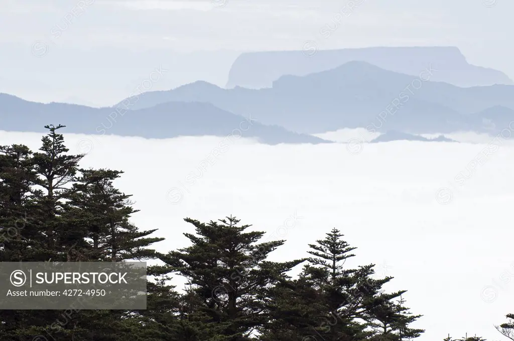 China, Sichuan Province, Mt Emei Unesco World Heritage site, early morning sea of clouds