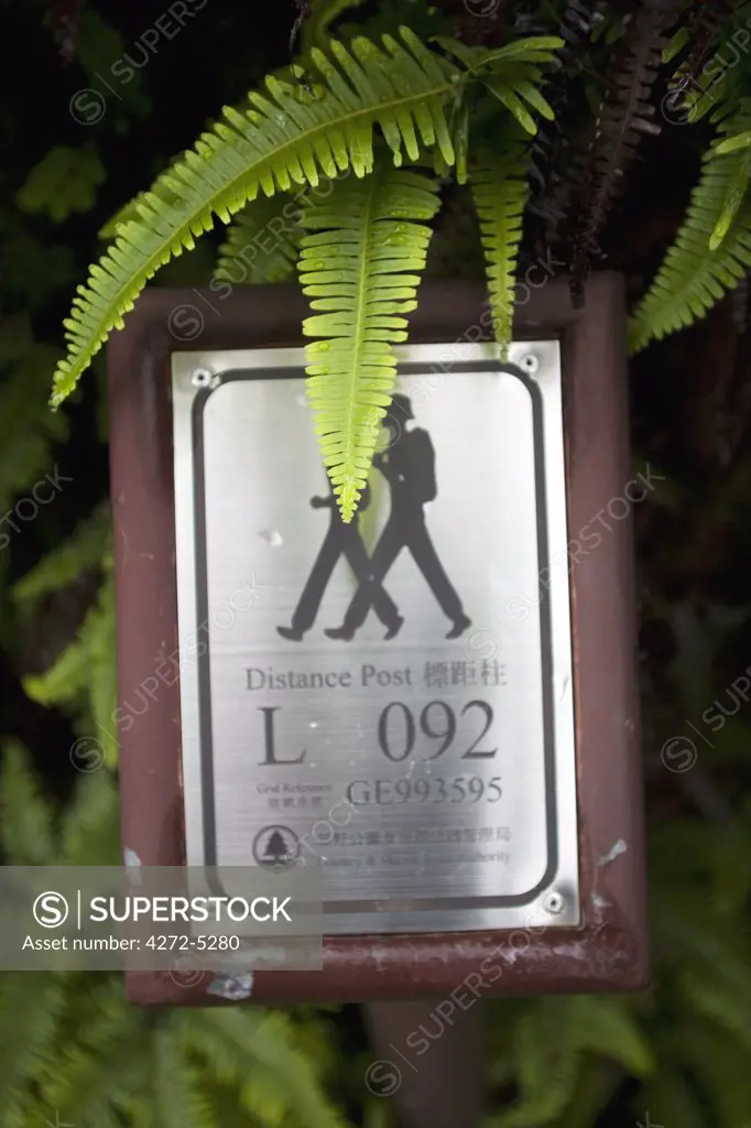 China, Hong Kong, Lantau Island.  Walking and trekking on the Lantau Trail, the footpaths are very well made and well waymarked, marked in places with individual GPS reference points for safety.