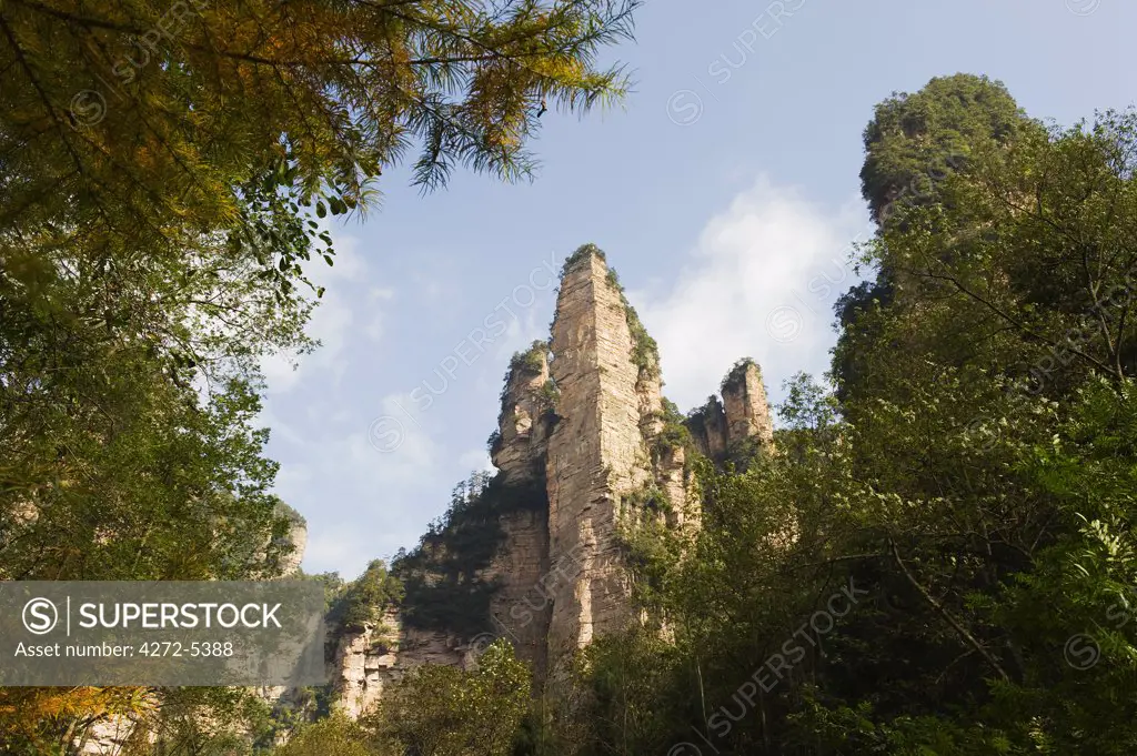 China, Hunan Province, Zhangjiajie Forest Park, Wulingyuan Scenic Area, Unesco World heritage Site, limestone cliffs