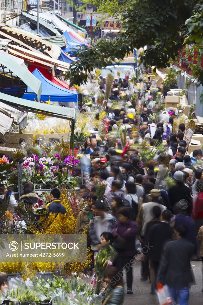 Crowds at flower market during Chinese New Year, Mongkok, Kowloon, Hong Kong, China