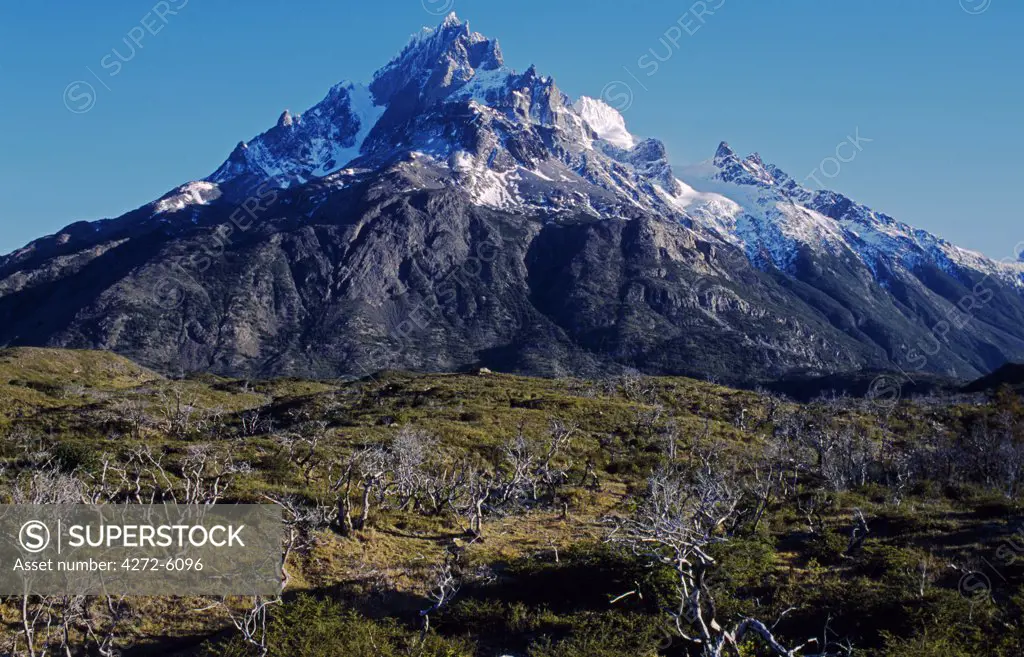 Paine Grande seen from Refugio Pehoe Lodge, Torres del Paine National Park, Patagonia, Chile