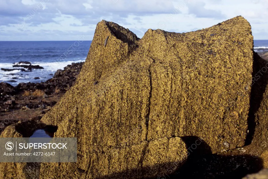 The supine form of a finely chiselled moai or stone head, at Ahu One Makihi on the south coast near to Rano Raraku.  Water has collected in the eye of the moai.