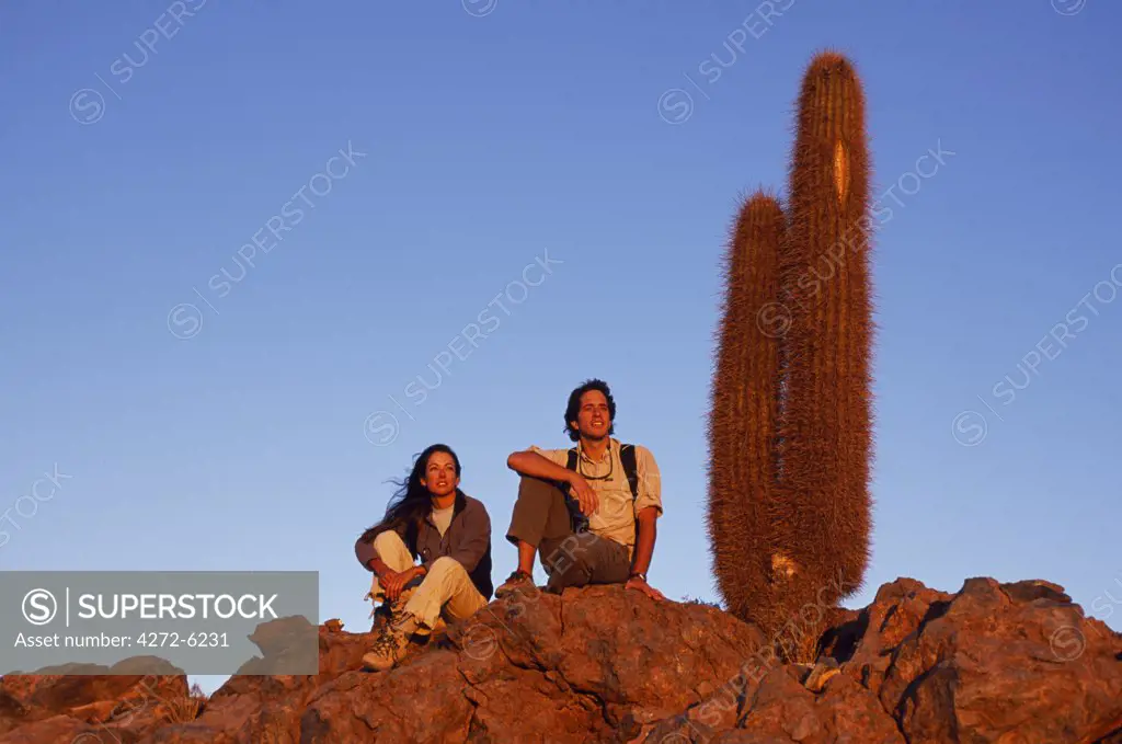 Trekkers watch the sun set over the Atacama Desert.  Beside them is a Cardon cactus (Echinopsis atacamensis) the signature plant of the Atacama Desert