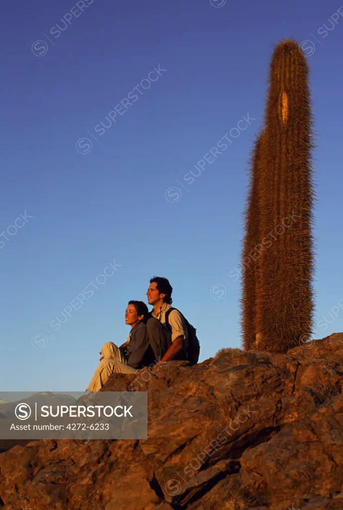 Trekkers watch the sun set over the Atacama Desert.  Beside them is a Cardon cactus (Echinopsis atacamensis) the signature plant of the Atacama Desert