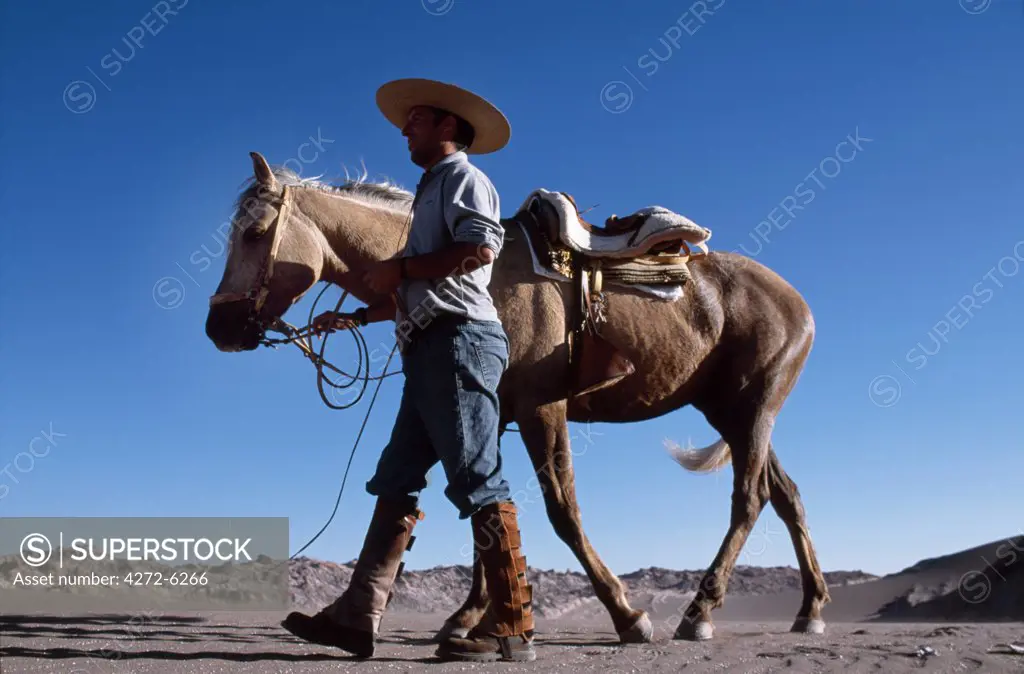 A huaso or Chilean cowboy leads his horse through the dunes to give it a rest during a horse trek in Moon Valley