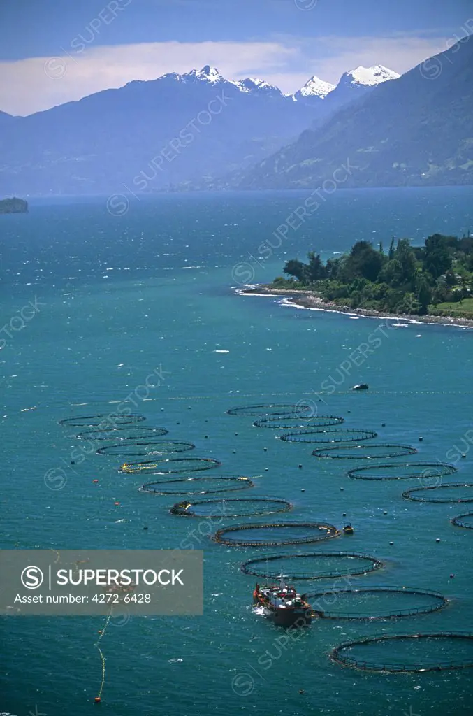 Chile, Region X. Fish farms in the Reloncavi Fiord south of Puerto Montt in Southern Chile