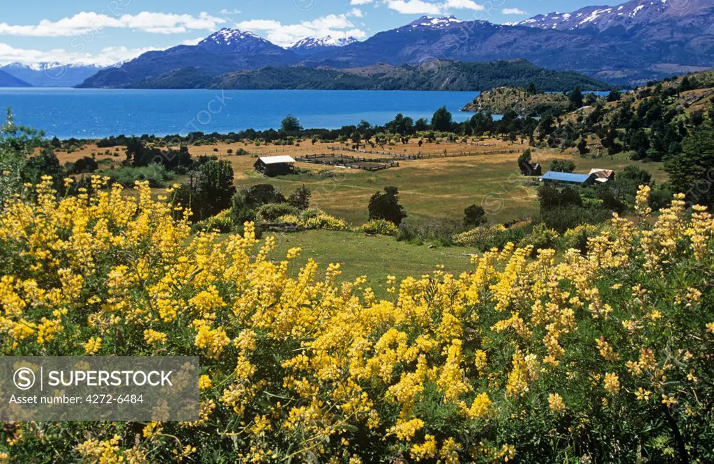 Working estancia on the shores of Lago General Carrera, Aisen, Region XI, Southern Chile