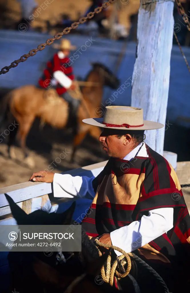 Chile, Cabildo. Huasos taking part in a traditional Rodeo in the village of Cabildo.